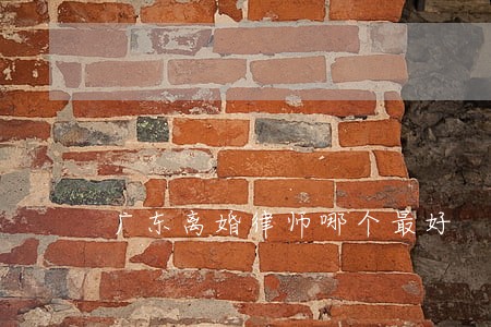 广东离婚律师哪个最好 广东离婚律师哪个最好