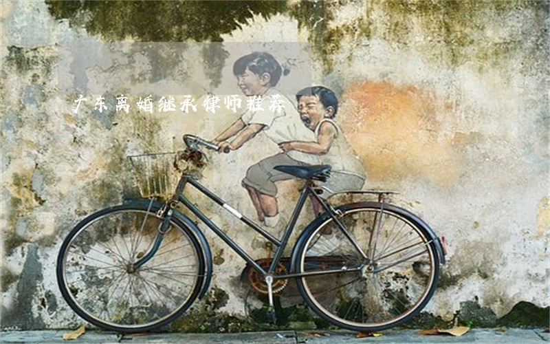 广东离婚继承律师推荐