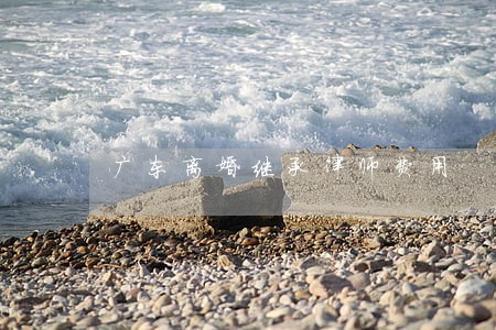 广东离婚继承律师费用 广东离婚继承律师费用