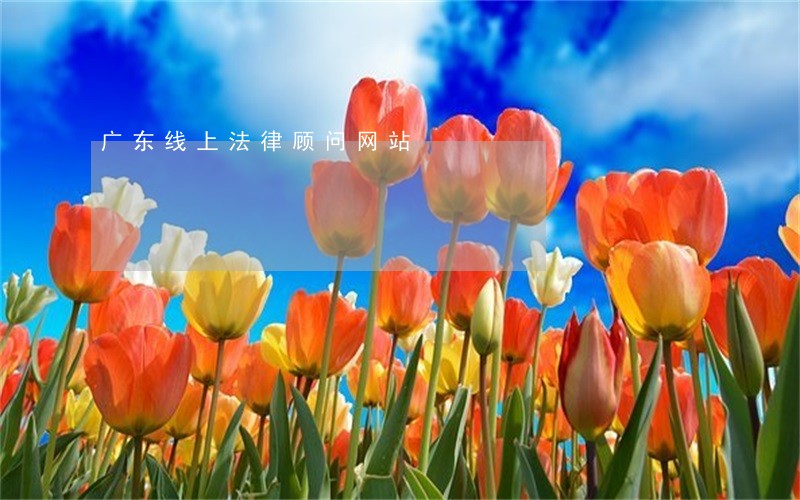 广东线上法律顾问网站 广东线上法律顾问网站