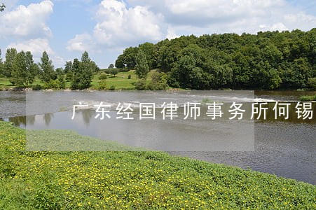 广东经国律师事务所何锡忠
