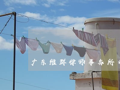 广东维群律师事务所专业律师 广东维群律师事务所专业律师