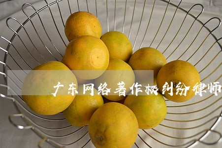 广东网络著作权纠纷律师介绍 广东网络著作权纠纷律师介绍
