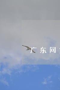 广东网贷负债逾期 广东网贷负债逾期