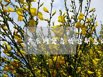 广东网贷负债逾期怎么办 广东网贷负债逾期怎么办