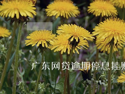广东网贷逾期停息挂账怎么申请 广东网贷逾期停息挂账怎么申请