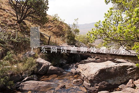 广东网贷逾期处理方案 广东网贷逾期处理方案