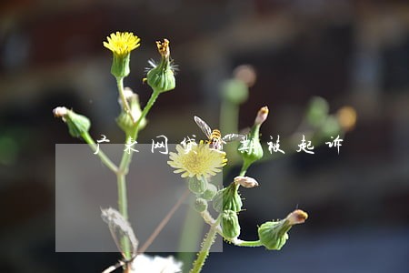 广东网贷逾期被起诉 广东网贷逾期被起诉