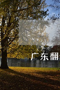 广东翻墙违法