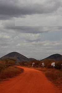 广东耀圣律师事务所专业律师 广东耀圣律师事务所专业律师