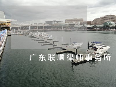 广东联顺律师事务所