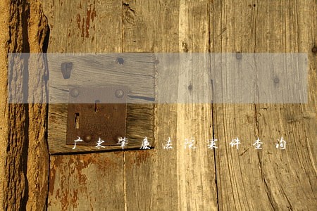 广东肇庆法院案件查询 广东肇庆法院案件查询