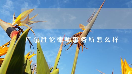 广东胜伦律师事务所怎么样