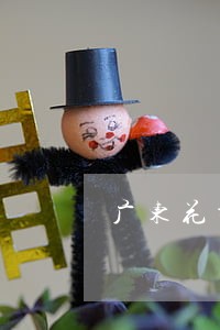 广东花都债务律师咨询免费