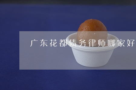 广东花都债务律师哪家好 广东花都债务律师哪家好