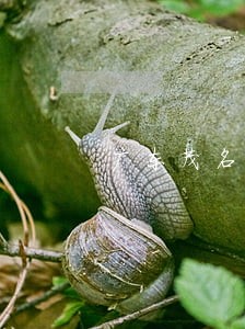 广东茂名找刑事会见律师 广东茂名找刑事会见律师