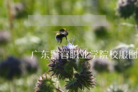 广东警官职业学院校服图片 广东警官职业学院校服图片