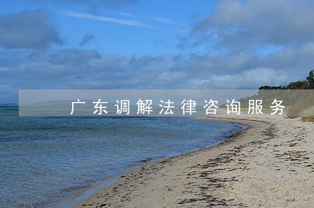 广东调解法律咨询服务 广东调解法律咨询服务
