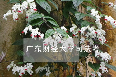 广东财经大学司法考 广东财经大学司法考
