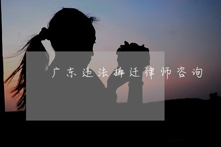 广东违法拆迁律师咨询