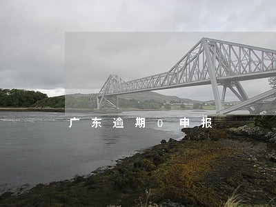 广东逾期0申报 广东逾期0申报