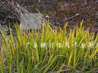 广东银行信用卡逾期处理办法 广东银行信用卡逾期处理办法