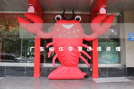 广东阳江交警违法处理