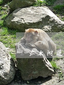 广东附近婚姻律师收费 广东附近婚姻律师收费