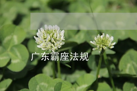 广东霸座法规 广东霸座法规