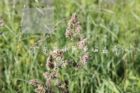 广东首例民事公益诉讼 广东首例民事公益诉讼