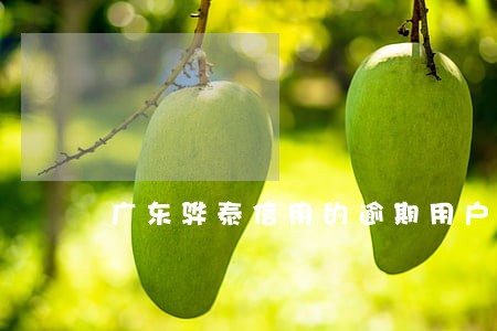 广东骅泰信用的逾期用户是多久的 广东骅泰信用的逾期用户是多久的