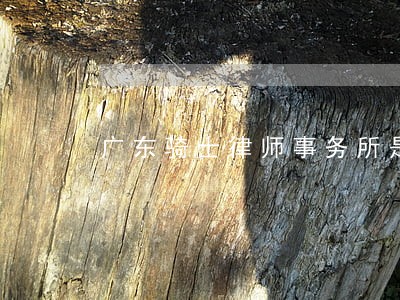 广东骑士律师事务所是真的吗 广东骑士律师事务所是真的吗