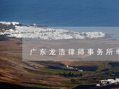广东龙浩律师事务所电话 广东龙浩律师事务所电话