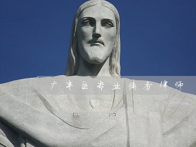 广丰区专业债务律师 广丰区专业债务律师