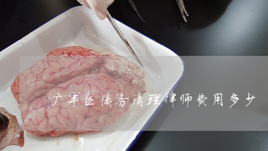 广丰区债务清理律师费用多少 广丰区债务清理律师费用多少