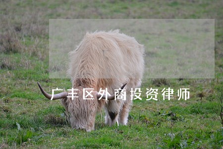 广丰区外商投资律师 广丰区外商投资律师