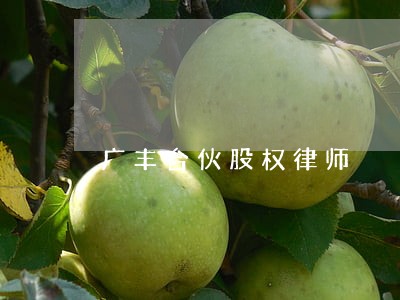 广丰合伙股权律师 广丰合伙股权律师