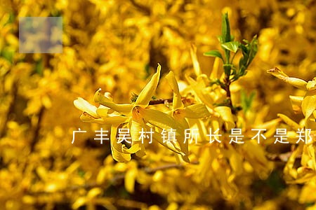 广丰吴村镇所长是不是郑奀土 广丰吴村镇所长是不是郑奀土