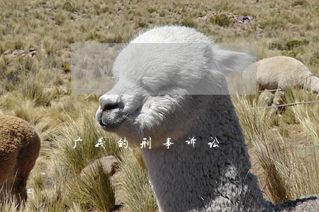 广义的刑事诉讼 广义的刑事诉讼