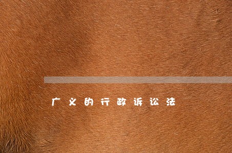 广义的行政诉讼法