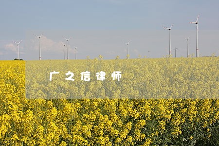 广之信律师