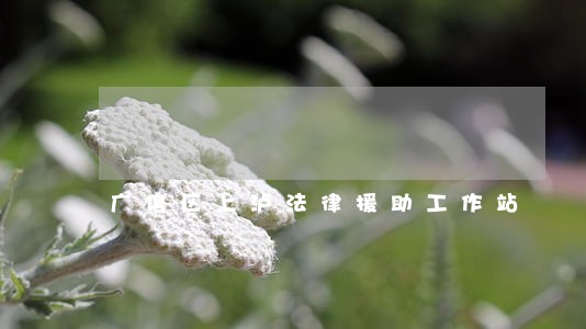 广信区上泸法律援助工作站 广信区上泸法律援助工作站
