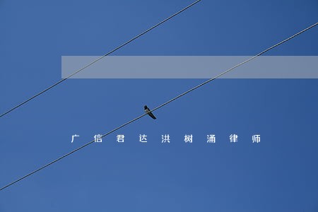 广信君达洪树涌律师 广信君达洪树涌律师