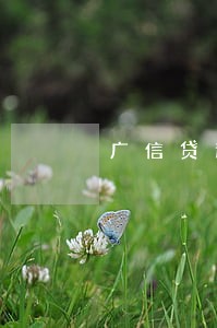 广信贷逾期2017 广信贷逾期2017