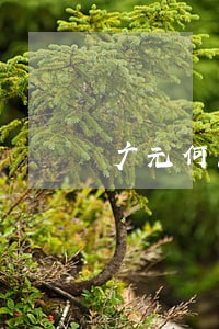 广元何恩乾律师 广元何恩乾律师