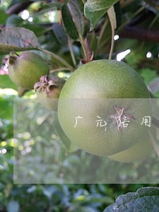 广元信用钱包逾期20了 广元信用钱包逾期20了