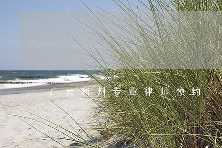 广元利州专业律师预约 广元利州专业律师预约