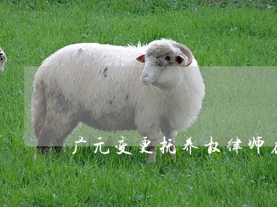 广元变更抚养权律师在线咨询