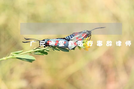 广元哪里有医疗事故律师 广元哪里有医疗事故律师