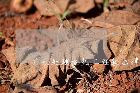 广元处理拖欠工程款法律问题律师 广元处理拖欠工程款法律问题律师